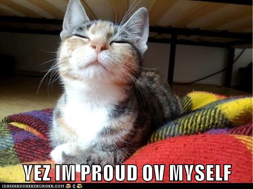 yez-i-am-lolcats-lol-cat-memes-funny-cats-funny-cat-pictures