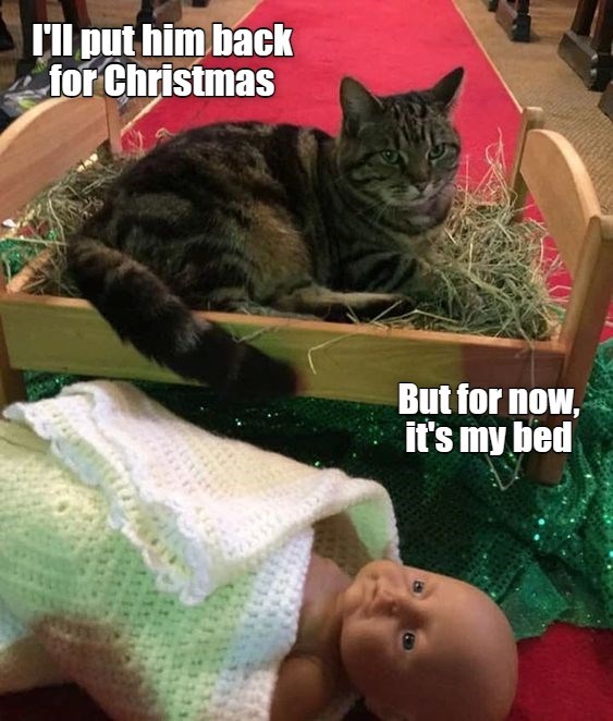 Bye The Way, Where's My Swaddling Clothes Lolcats lol cat memes