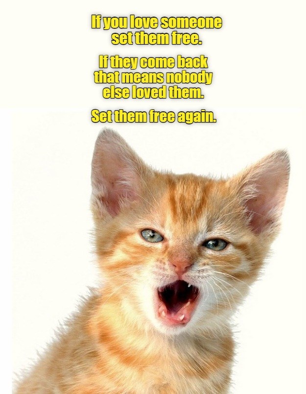 And Don't Let The Door Hit You On The Way Out - Lolcats - lol | cat ...