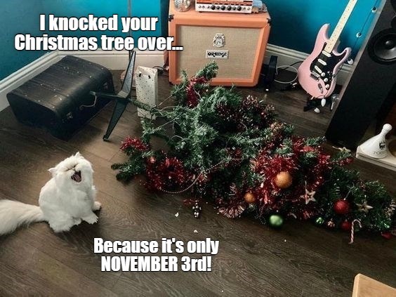 You Didn't Even Put The Halloween Decorations Away Yet - Lolcats - lol ...