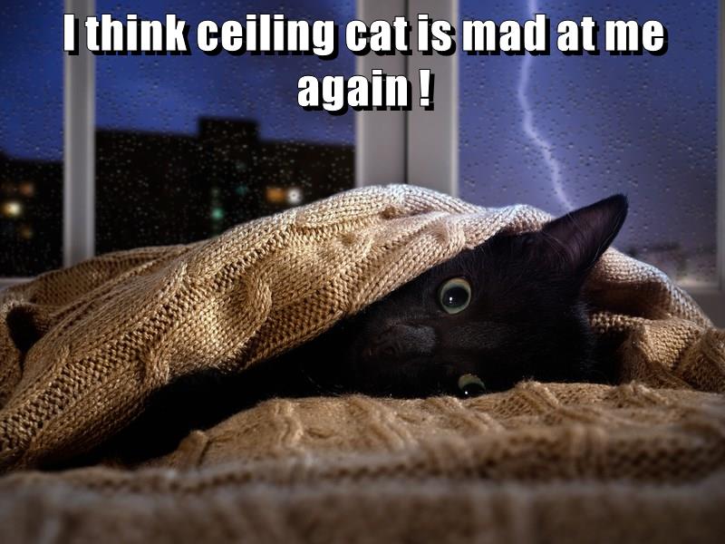 I think ceiling cat is mad at me again ! Lolcats lol cat memes