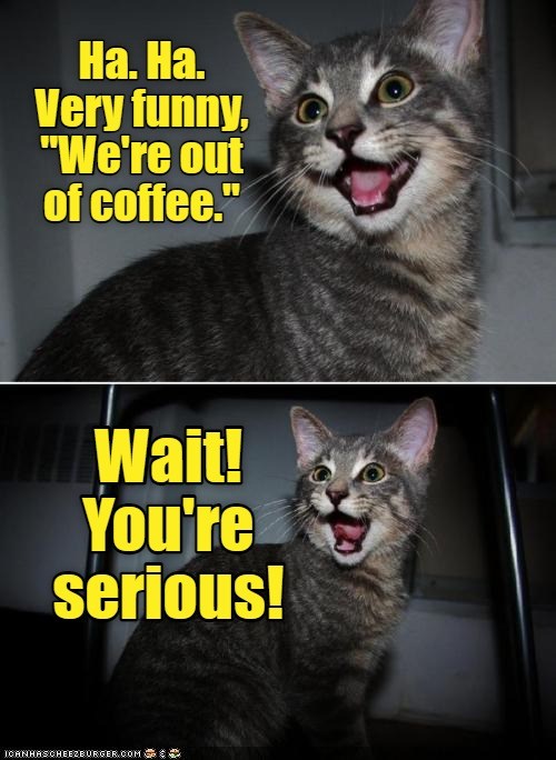 Not a joking matter. - Lolcats - lol | cat memes | funny cats | funny ...