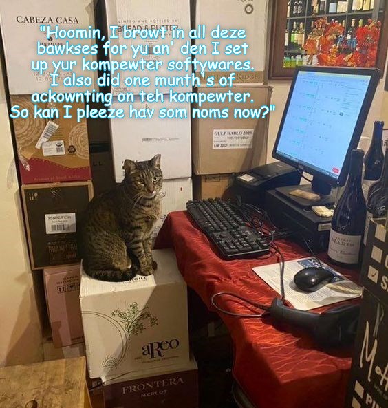 Kitty is a very diligent worker! Yes indeed. Lolcats lol cat memes funny cats funny