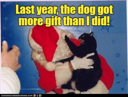 Playing favorites again? - Lolcats - lol | cat memes | funny cats ...