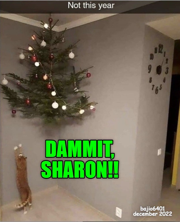 JUST WAIT UNTIL I GET THE STEP LADDER Lolcats lol cat memes