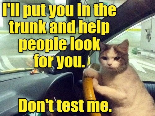 Don't Make Me Stop This Car. - Lolcats - lol | cat memes | funny cats ...