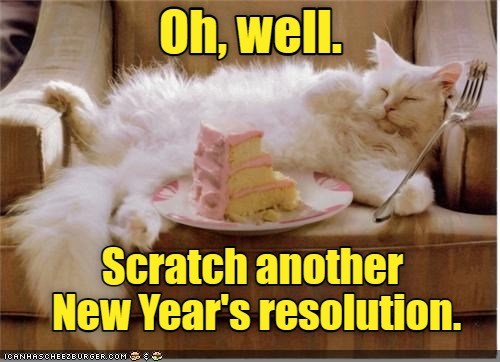 Lasted longer than last year! - Lolcats - lol | cat memes | funny cats ...