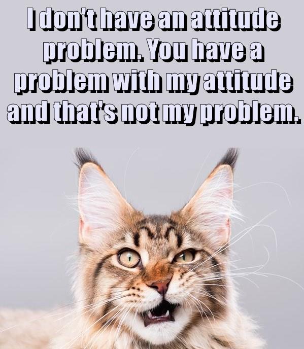 Attitude pawblem