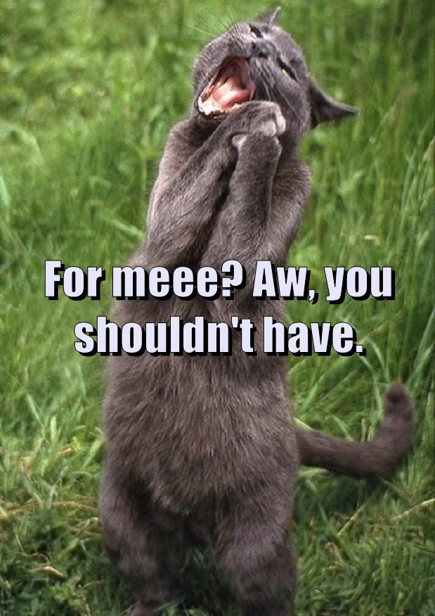 For meee? Aw, you shouldn't have. - Lolcats - lol | cat memes | funny ...
