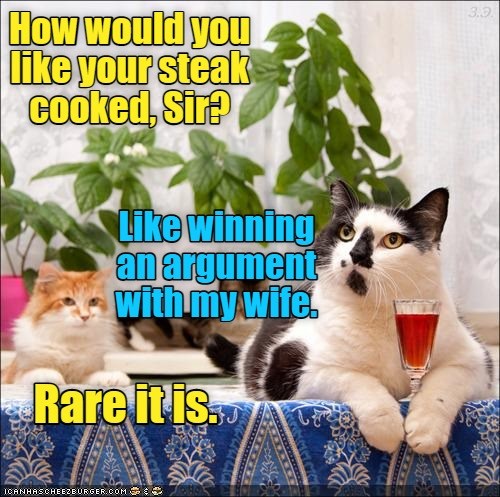 Waiter knows best. - Lolcats - lol | cat memes | funny cats | funny cat ...