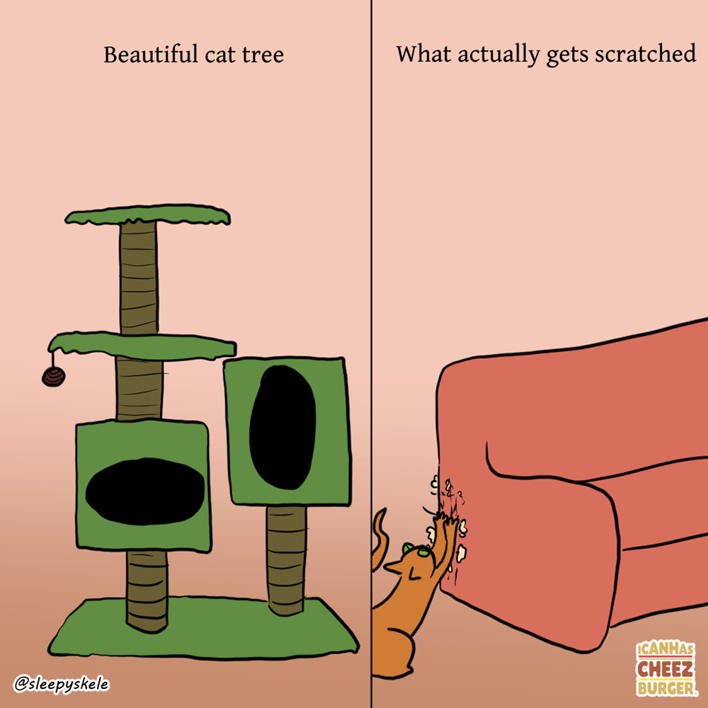 cat-trees-showbiz-khabri