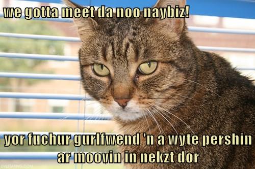 Maybe she likes cats - Lolcats - lol | cat memes | funny cats | funny ...