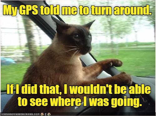 Good thing cats have 9 lives - Lolcats - lol | cat memes | funny cats ...