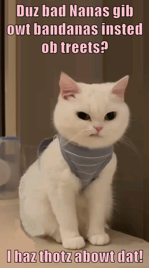 I don't want to look like a snack, I WANT a snack! Lolcats lol