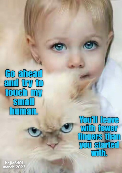 Try Is As Far As Youll Get Lolcats Lol Cat Memes Funny Cats