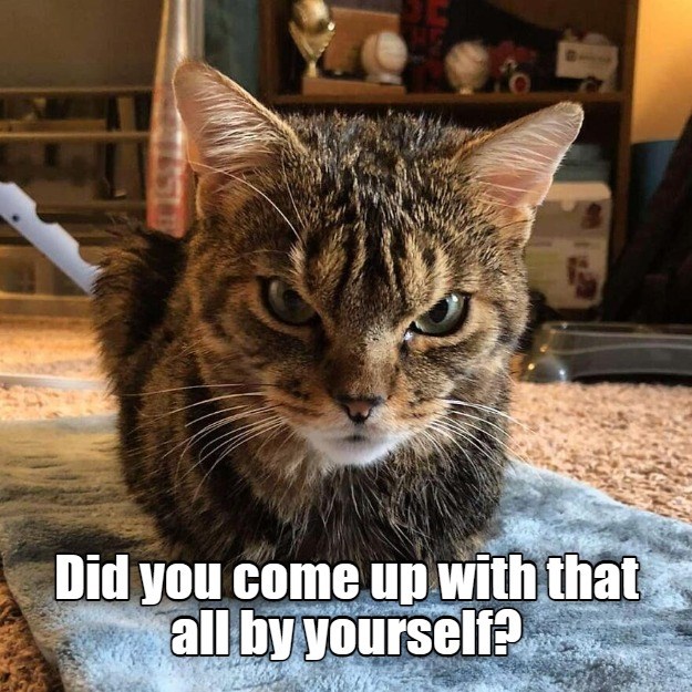 Intimidation kitty is intimidating - Lolcats - lol | cat memes | funny ...