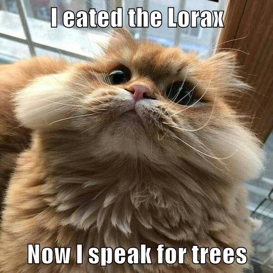 “I am the Lorax who speaks for the trees, which you seem to be chopping