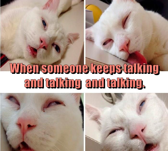 Mmmhmmm, yeah, mmhmmm, oh yeah of course... - Lolcats - lol | cat memes ...