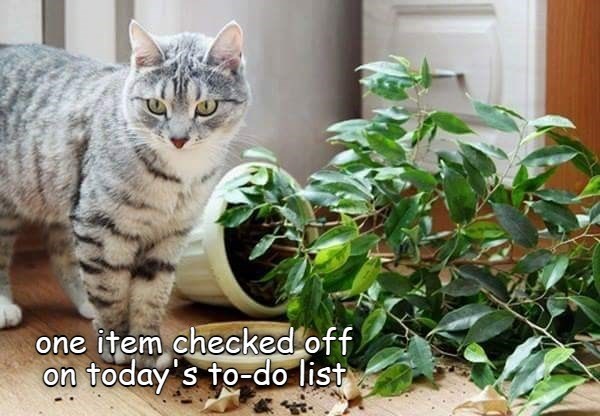 To-Do List