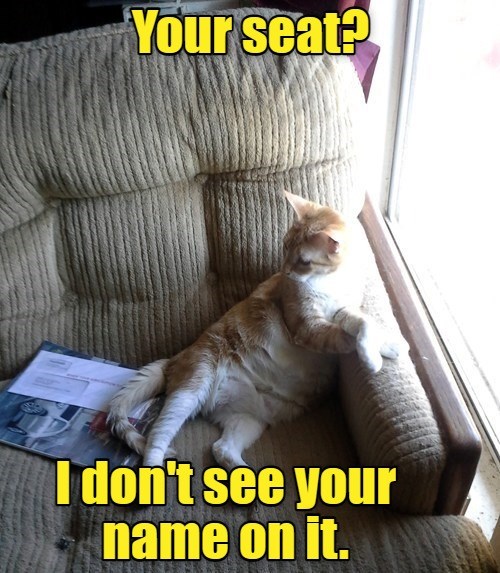 possession-is-9-10ths-of-the-law-lolcats-lol-cat-memes-funny