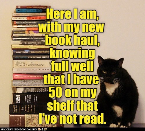 I have no shelf control. - Lolcats - lol | cat memes | funny cats ...