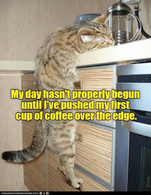 But first: coffee - I Can Has Cheezburger?