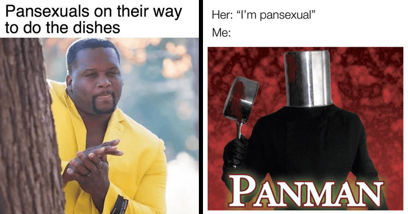 Punny Pansexual Memes Are A Dad Joke Dream Come True - Memebase - Funny