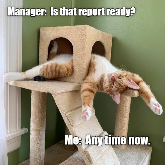 I'm on it - Lolcats - lol | cat memes | funny cats | funny cat pictures ...