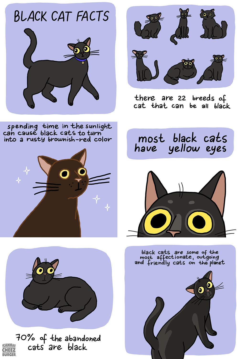 Black Cats Compilation