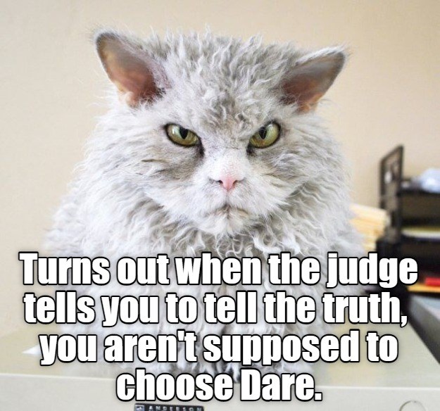 Rules, rules, rules! Lolcats lol cat memes funny cats funny cat pictures with words on