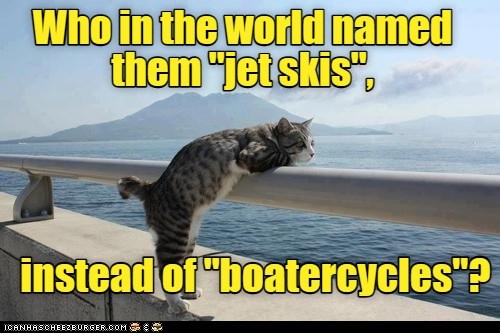 Inquiring minds want to know. - Lolcats - lol | cat memes | funny cats ...