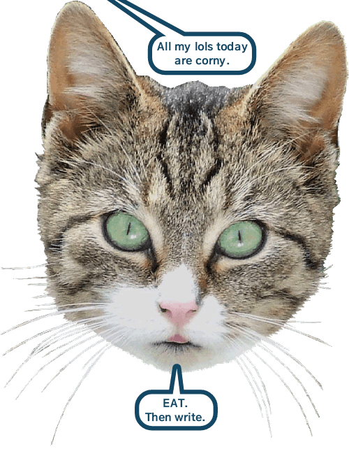 Including this one Lolcats lol cat memes funny cats funny cat