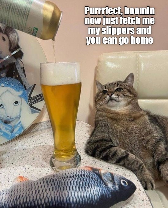 Will that be all, Sir? - Lolcats - lol | cat memes | funny cats | funny ...