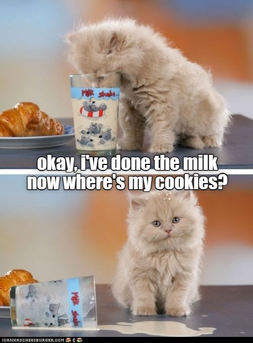Wouldn't mind more milk too Lolcats lol cat memes funny cats