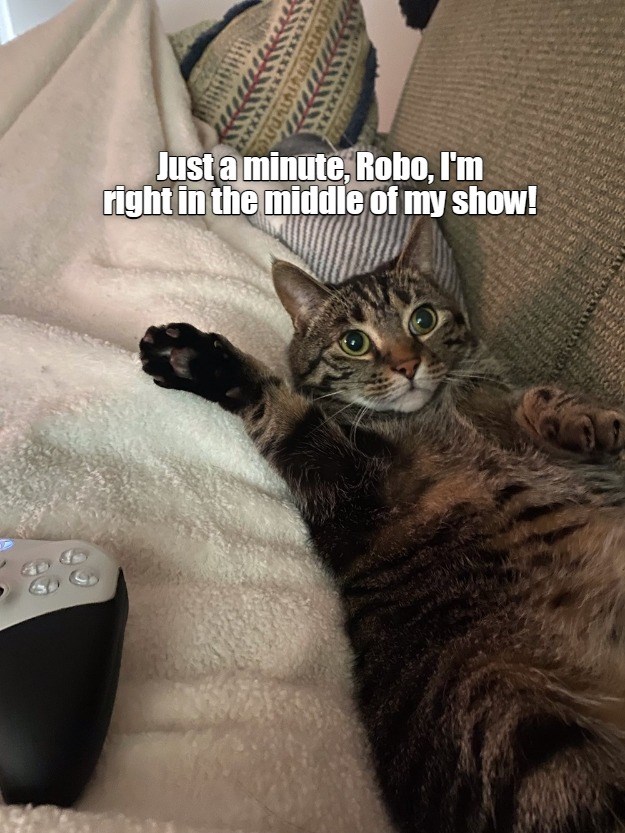 One more minute - Lolcats - lol | cat memes | funny cats | funny cat ...