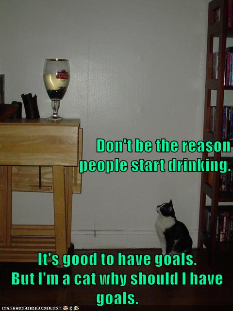 The house cat motto - Lolcats - lol | cat memes | funny cats | funny ...