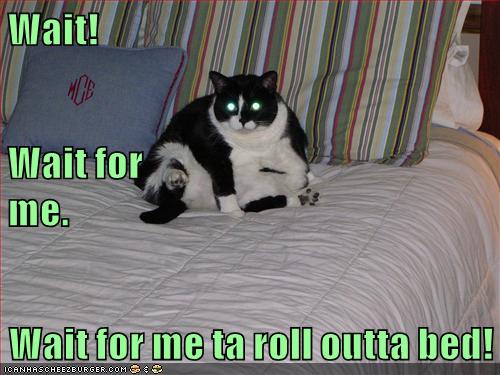 Oh lawd he comin' - Lolcats - lol | cat memes | funny cats | funny cat ...