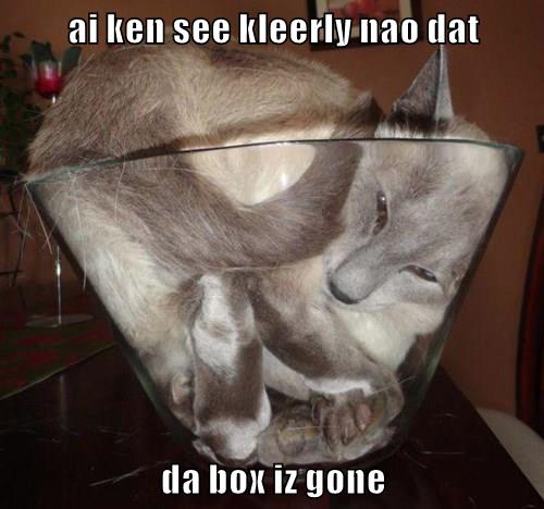 Cats are liquid - Lolcats - lol | cat memes | funny cats | funny cat ...