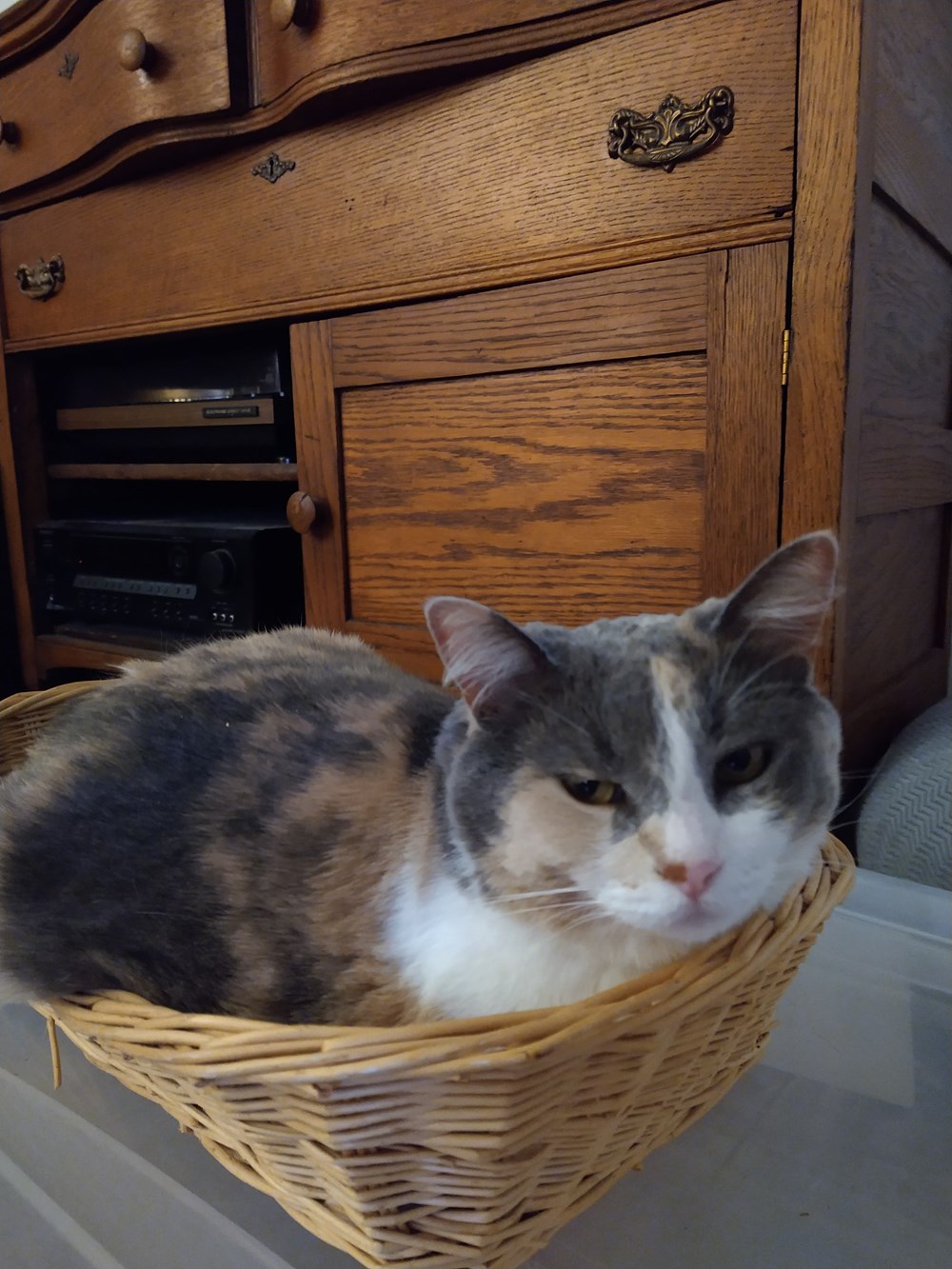 I Sleep When I Want Where I Want With Who I Want Lolcats Lol 