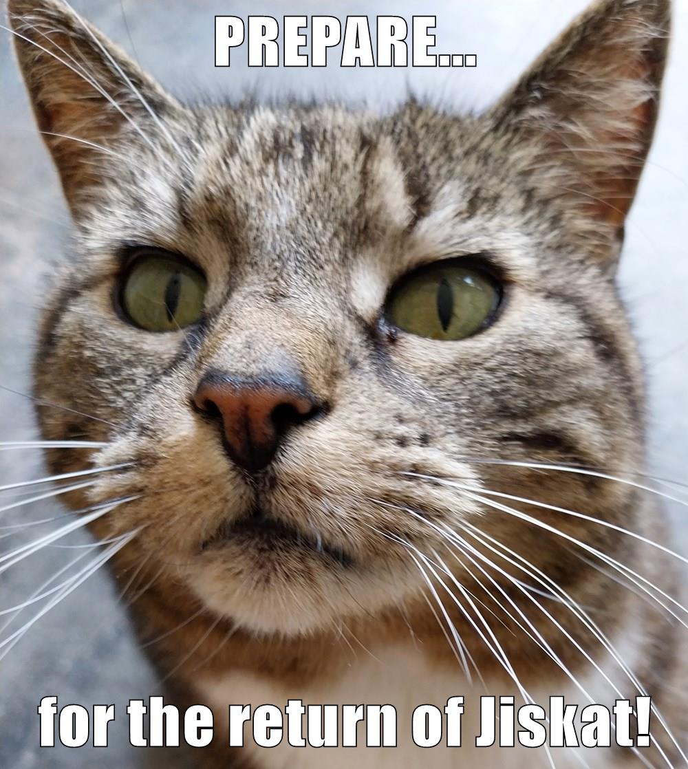 He's back - Lolcats - lol | cat memes | funny cats | funny cat pictures ...