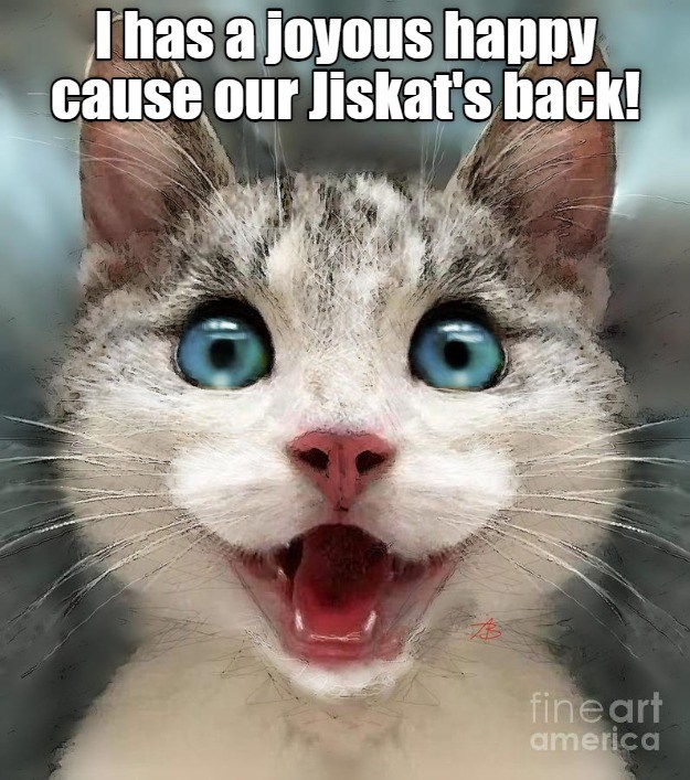 Welcome back Jiskat! - Lolcats - lol | cat memes | funny cats | funny ...