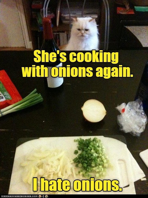 She would probably put onions in her corn flakes. Lolcats lol cat