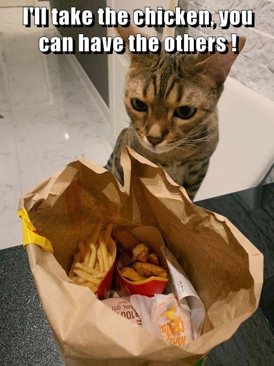 Sharing Is Caring Lolcats Lol Cat Memes Funny Cats Funny Cat Pictures With Words On