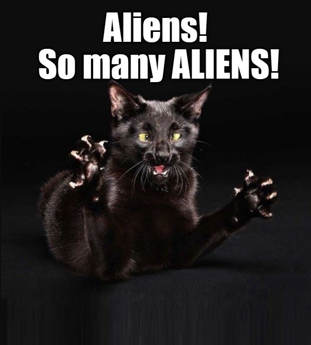 So many! Lolcats lol cat memes funny cats funny cat pictures