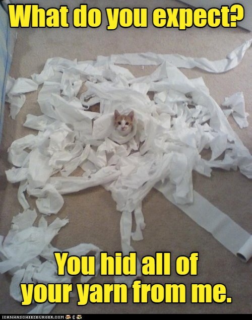 Such a knitwit. Lolcats lol cat memes funny cats funny cat