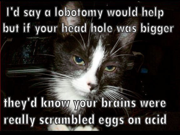 Rare lobotomy jokes - Lolcats - lol | cat memes | funny cats | funny ...