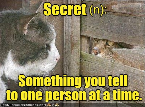 Daffynition- Secret - Lolcats - lol | cat memes | funny cats | funny ...