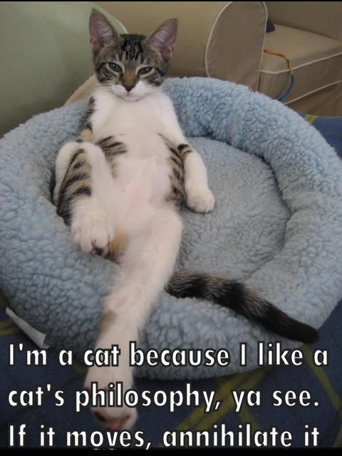 It's Good To Have A Philosophy - Lolcats - Lol 