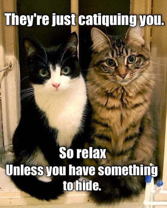 Cats have that 6th sense, ya know. - Lolcats - lol | cat memes | funny ...