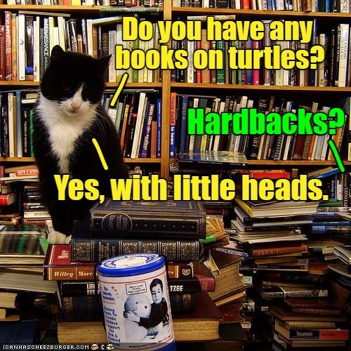 Ask a stupid question... - Lolcats - lol | cat memes | funny cats ...